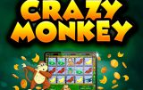 Crazy Monkey